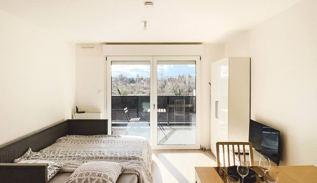 Studio Le Hésingue - Near Airport Swiss Borders