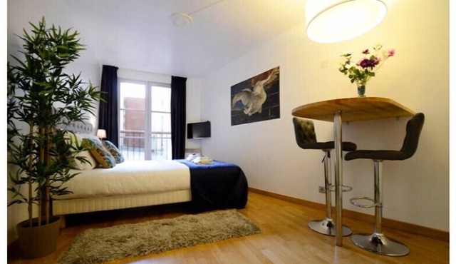 Studio lits jumeaux located on the left bank of the Seine