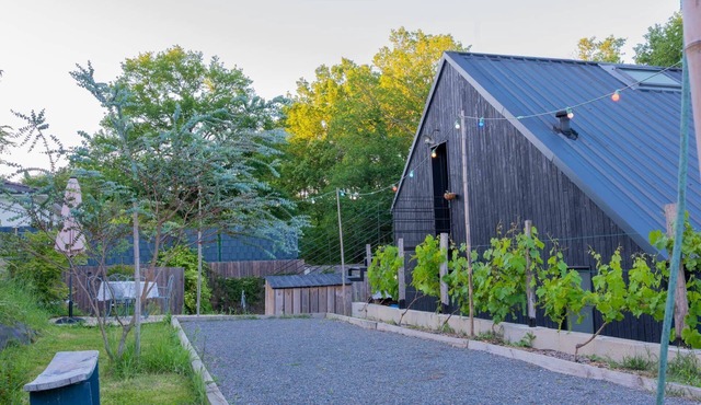 Studio Mandavi - Vineyards & Forest