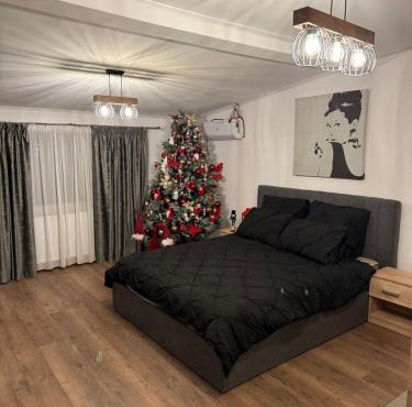 Studio modern,ideal pentru 2 cupluri sau o familie cu 2 copii