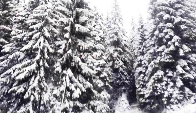 Studio PANORAMA MOUNTAINE, near the ski slope Pamporovo-Stoykite