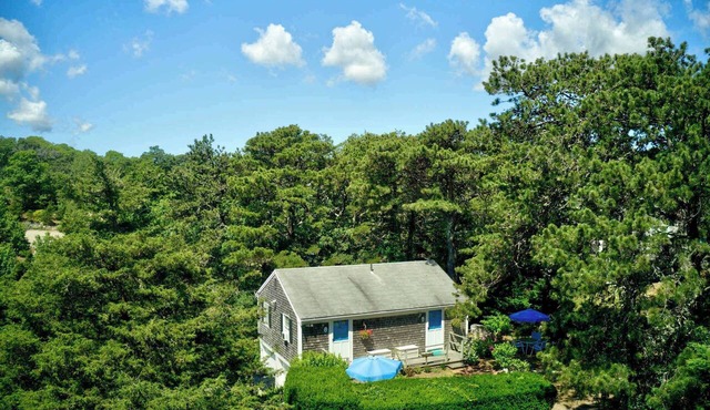 Studio perfect for 3, Walk to Nauset Beach!