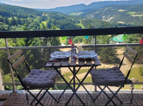 STUDIO plein sud "Les Arolles" Balcon de VILLARD DE LANS