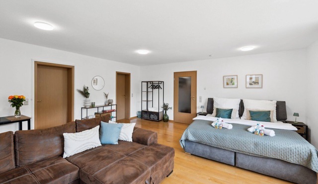 Studio SIRIUS Apartment |Near IRT Föhren and Moselle