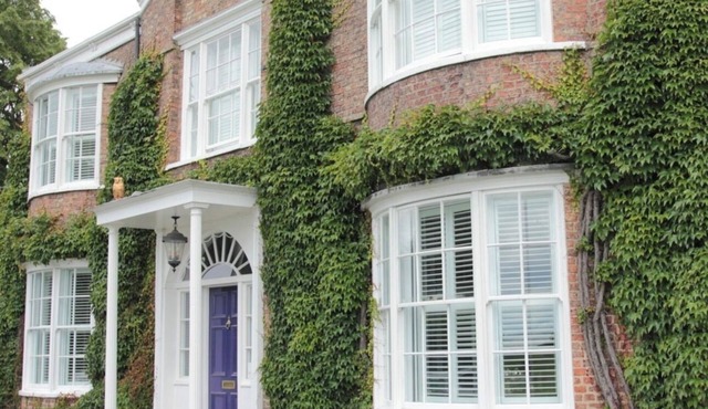Studio - Sleeps 2 - Pets - Parking - Wifi