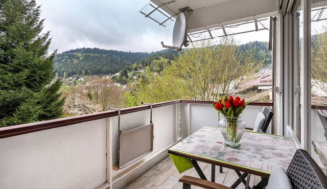 Studio 'Tannenwald' with Balcony and Wi-Fi