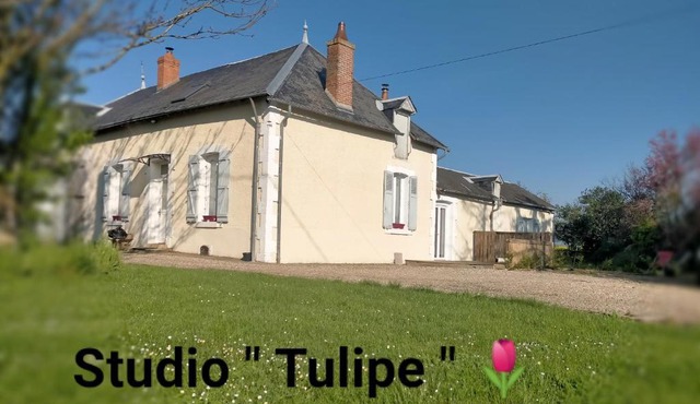 studio 'tulipe' dans le Berry