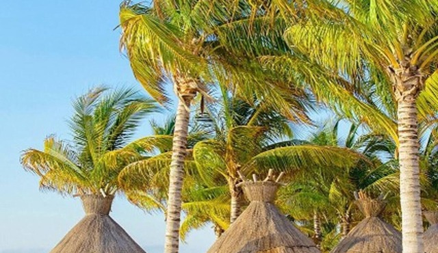 Studio Villa del Palmar Cancunnn