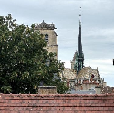 Studio vue cathédrale St-Bénigne Dijon