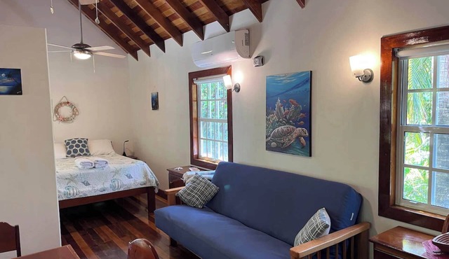 Studio w/Pool, AC, Dock Access, Free Paddle boards
