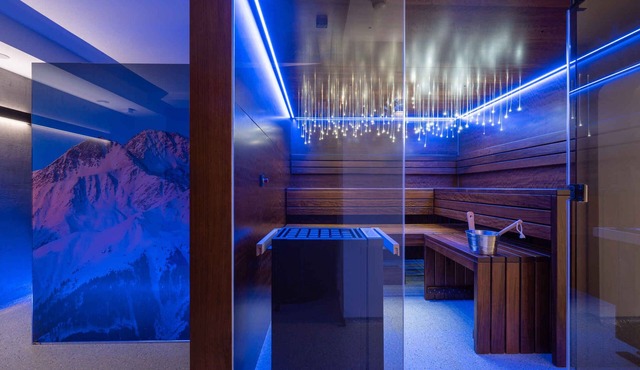 Studio with wellness area and ski room