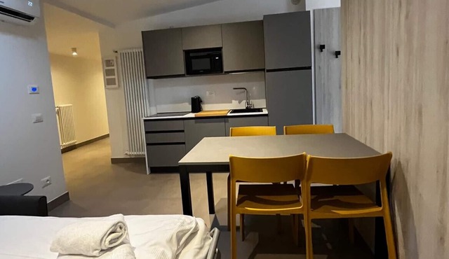 Studio with balcony - BILO APARTMENTS