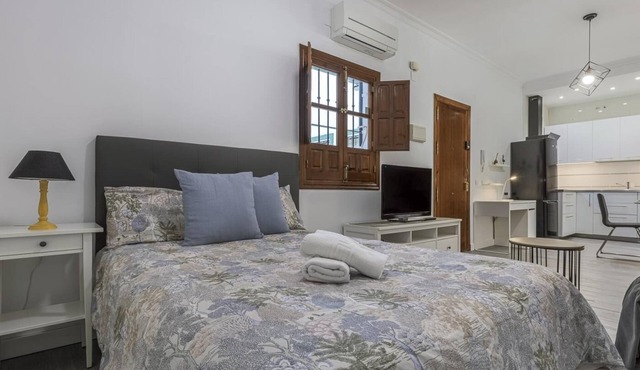 Studio with charm at the historic center. WIFI/AC