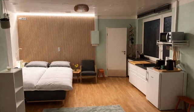 Studio with kitchen in the center of Auerbach near Fürstenlager