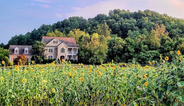 Studio with mountain views and private entrance near wineries and hiking
