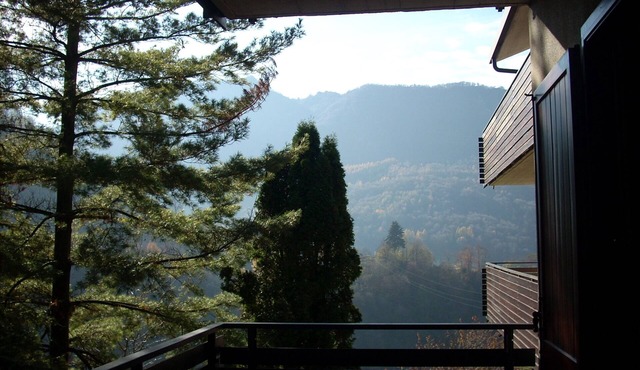 STUDIO WITH POOL, MOGGIO, VALSASSINA
