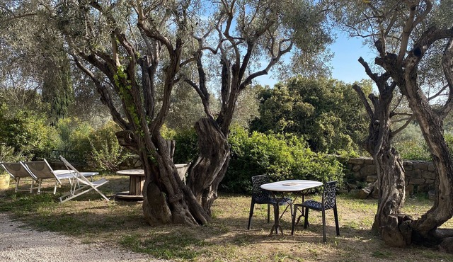Studio with private garden in Sanary