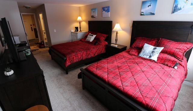 Studio with two queen beds renovated on bus route close to all