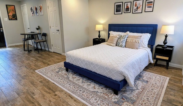 Studio1 in Houston's Heart: Heights-Downtown-Montrose