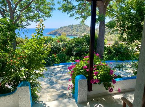 Studios Ioanna Limnionas Samos
