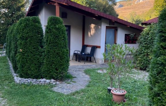 Studiouri Valisoara