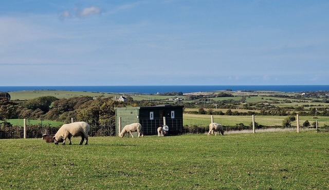 Stunning 1-bed Shepherd hut