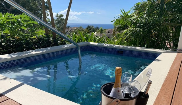 Stunning 2 Bedroom villa with Plunge Pool and Sea view