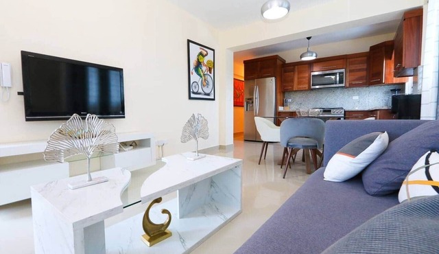 STUNNING 2-BR 2-BATH APT W/AC GARAGE & ROOF TOP