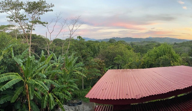Stunning 3-bedroom bunk villa with pool and jungle views in Esterillos Oeste