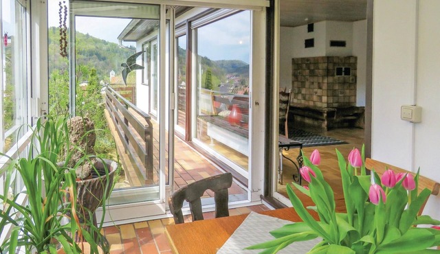 Stunning apartment in Hinterweidenthal