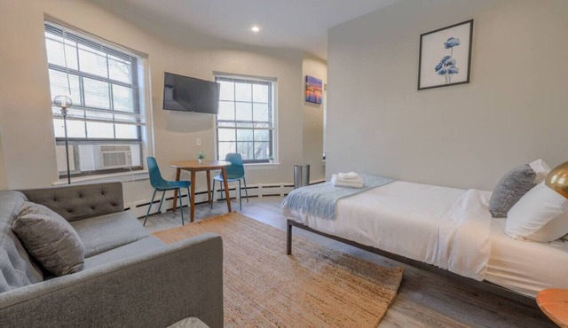 Stunning Back Bay Studio Apartment