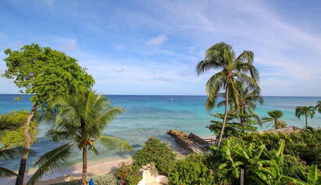 Stunning Beachfront Condo on Payne's Bay