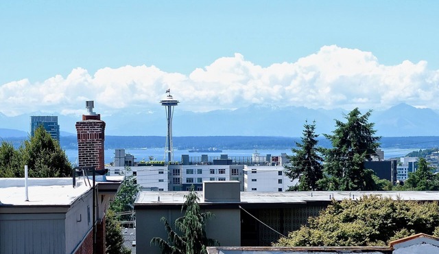 Stunning Capitol Hill View Apartment