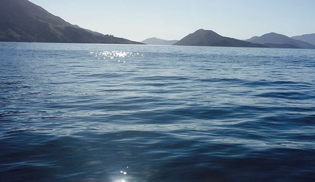 Stunning executive holiday home in tranquil Duncan bay