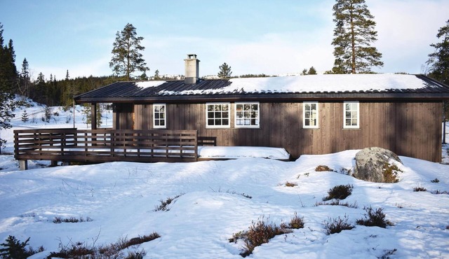 Stunning home in Eggedal with kitchen