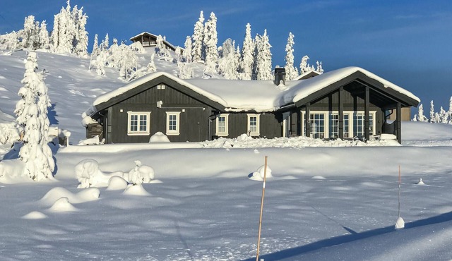 Stunning home in Eggedal with WiFi