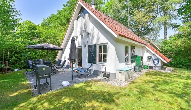 Stunning home in Exloo with WiFi