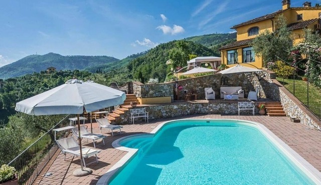 Stunning villa with swimming pool and changing room, surrounded by a park with olive trees, loca...