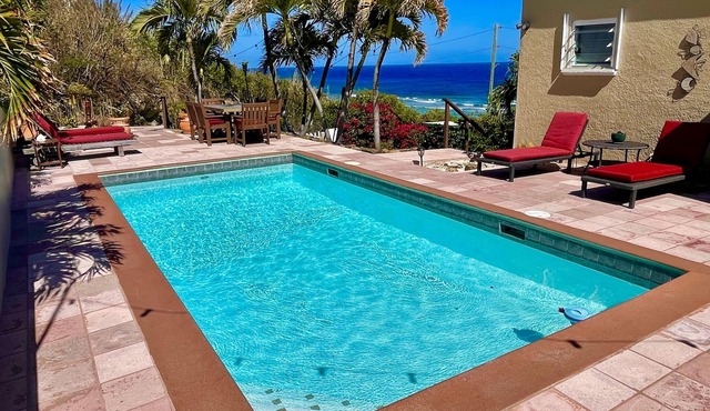 Stunning Paradise Overlook - Incredible Views from Every Room