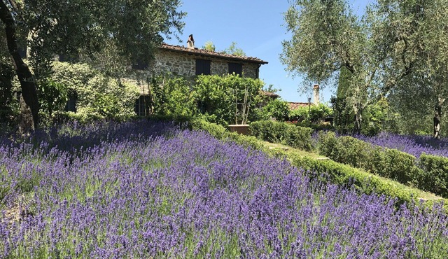 Stunning private villa with private pool, WIFI, TV, patio and panoramic view, close to Lucca
