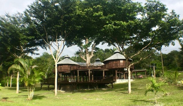 Stunning Tree House with Private Pool Surrounded by Nature in Cayo District, Belize