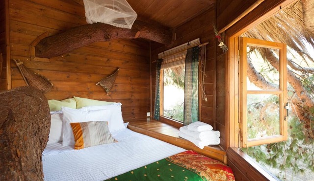 Stunning Treehouse 10 mins from sandy beaches.