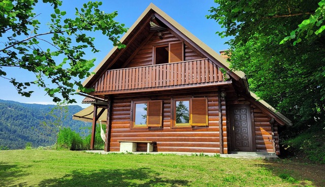 Stunning view cottage with AC and WiFi in lovely village next to lake Bled