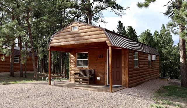 Stunning Wooden Cabin Nestled Amidst Trees in Rapid City, South Dakota