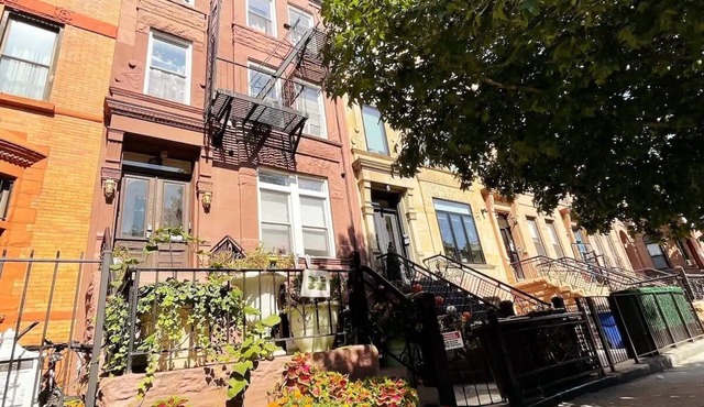Stuyvesant height 4th floor apartment 771 Greene Ave, Brooklyn, NY 11221