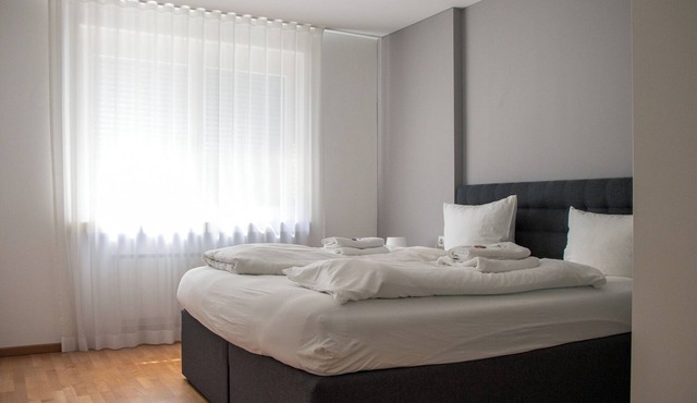 Stylish Apartment in the Heart of Bregenz City