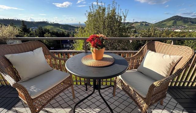 Stylish holiday apartment Panorama Suite with top view, garden and sauna