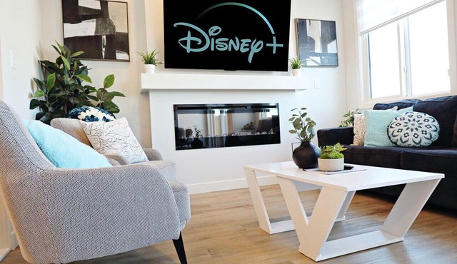 Stylish Home with A/C|3 King Beds|Garage|Disney+
