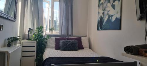 Stylish Small Double with Free Street Parking near Hampton Court