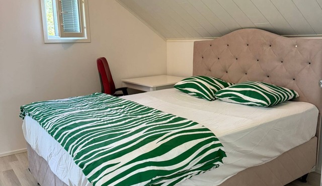 Stylish Spacious Home near Helsinki Airport